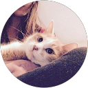Nessa Wowza profile picture